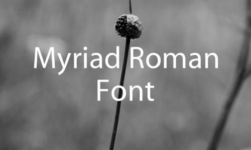 Myriad Roman Font Free Download