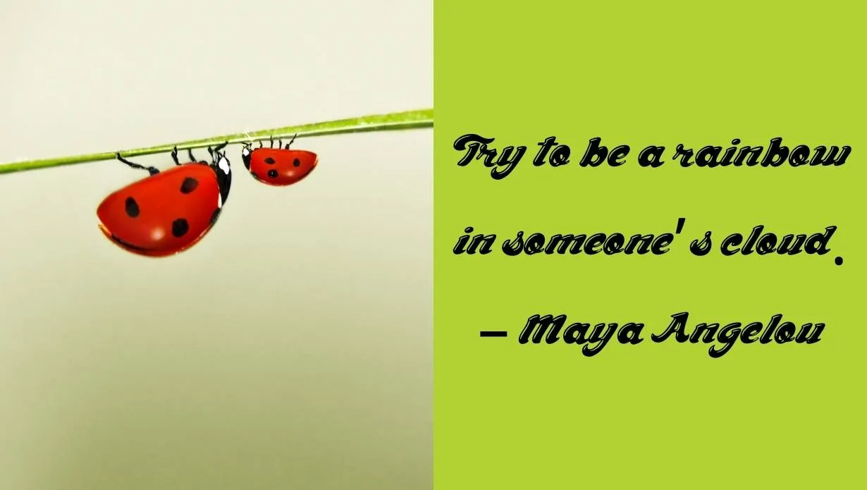 Ladybug Font 