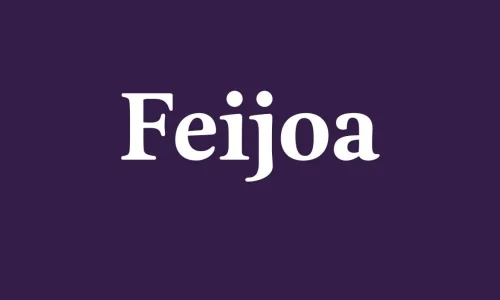 Feijoa Font Free Download