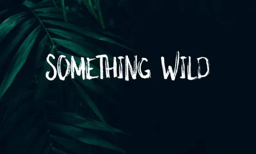 Something Wild Font Free Download